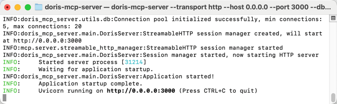 Server start logs