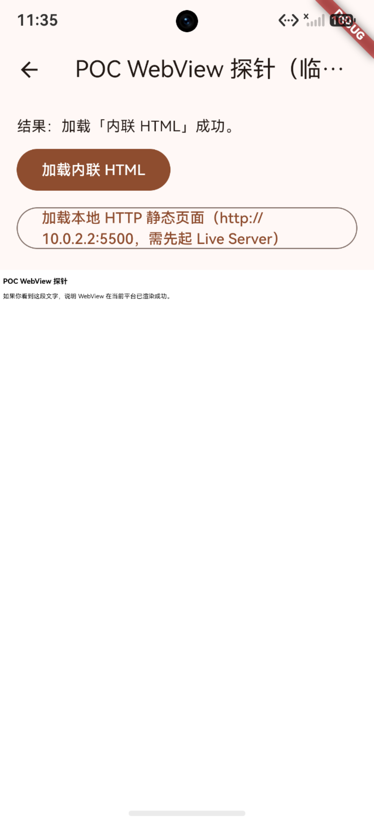 WebView 探针页正常渲染（点击加载后）